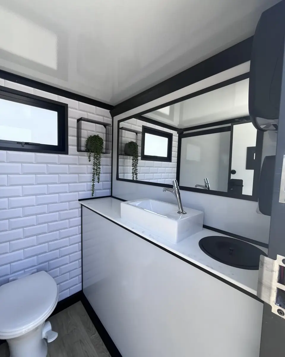 Luxury restroom mirror, sink and decorative plant