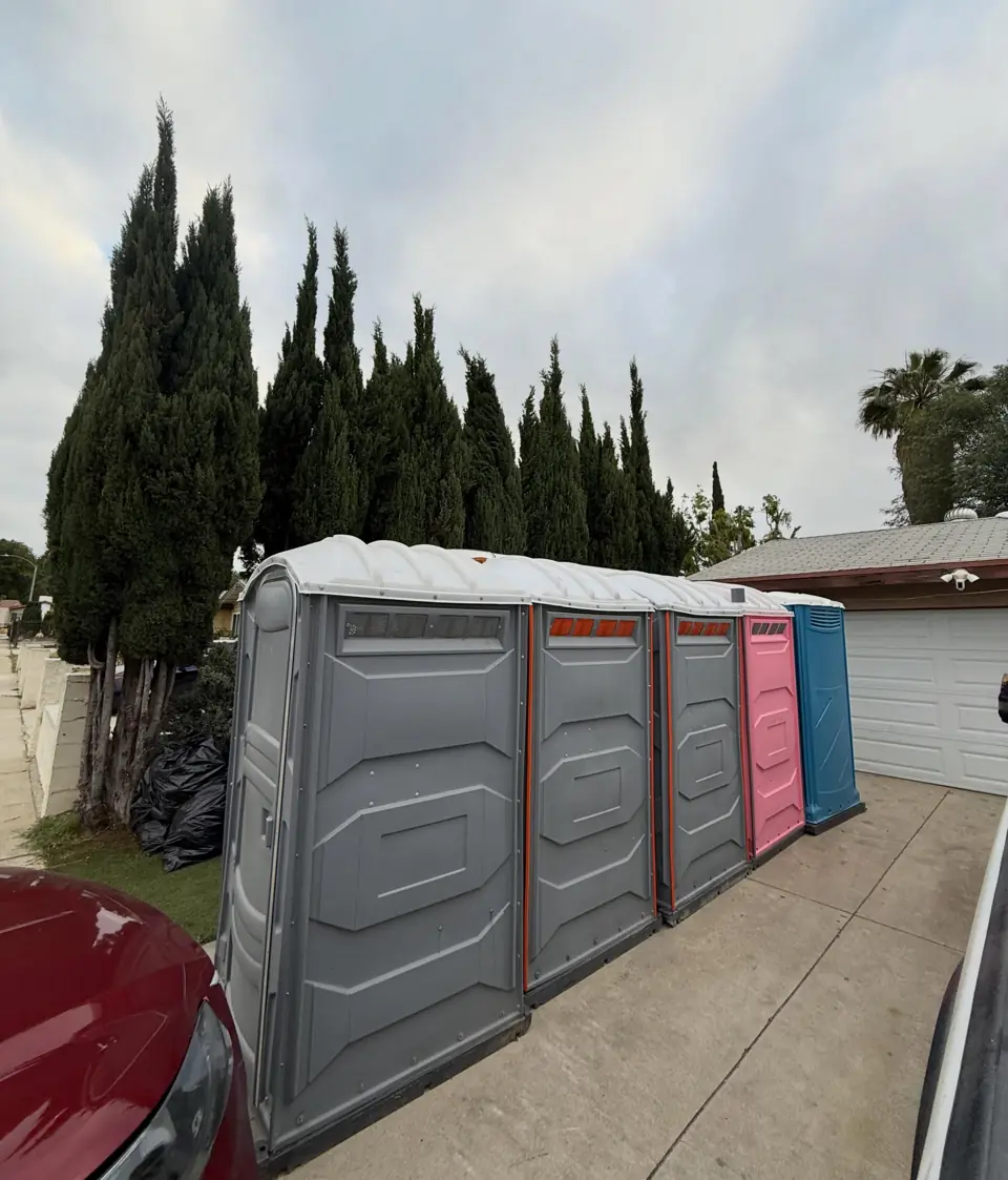 Row of gray and pink porta potties in a residential driveway